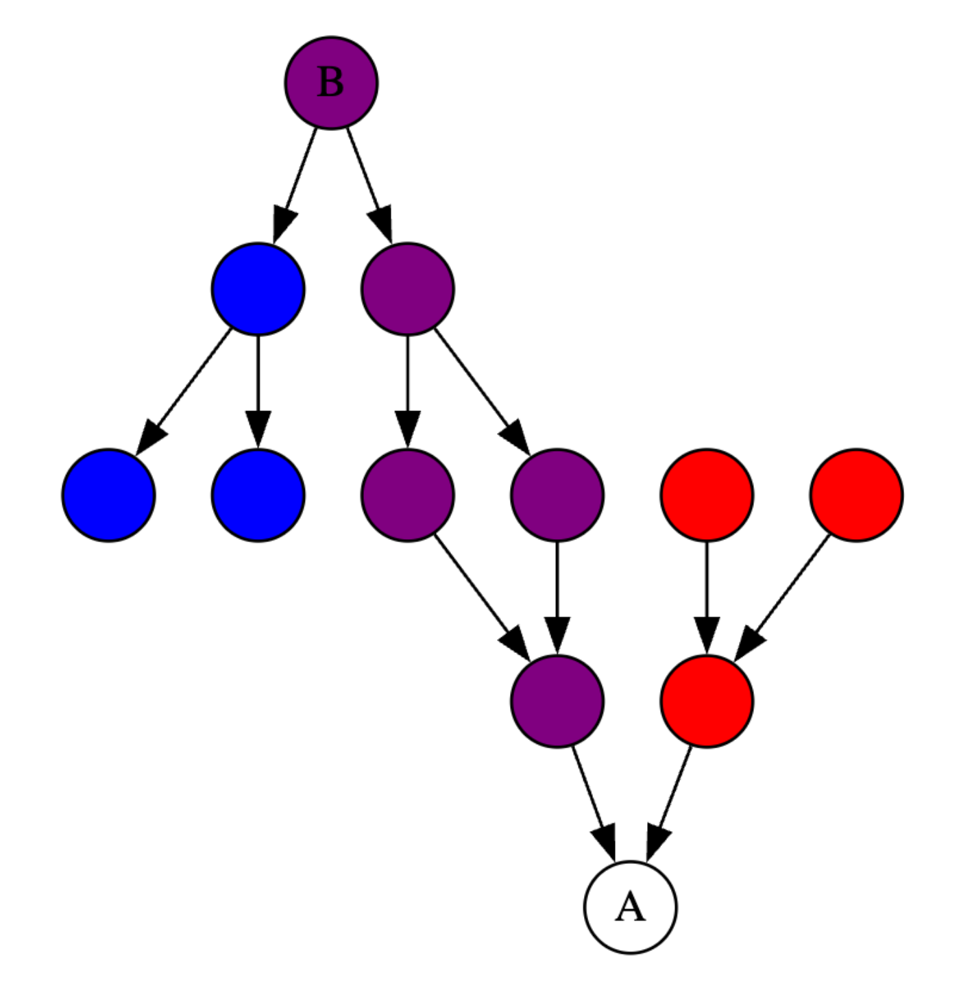nodes diagram purple