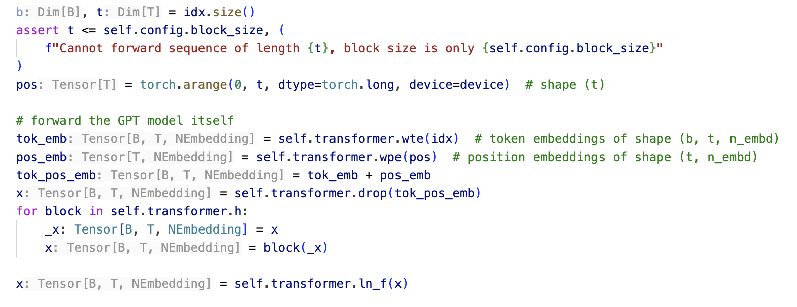 NanoGPT forward with tensor shape hints — every variable shows its full shape