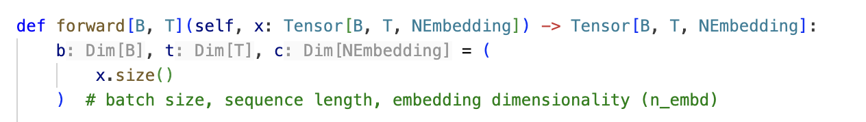 NanoGPT forward signature with x.size() unpacking to b: Dim[B], t: Dim[T], c: Dim[NEmbedding]